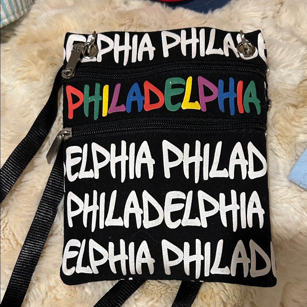 Robin Ruth Philadelphia Multi-Color Mini Bag - Picture 1 of 1